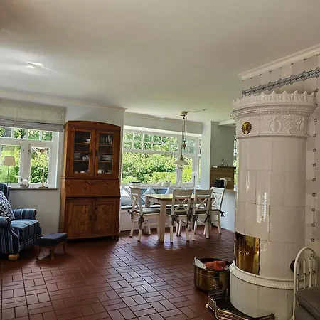 Fasan * Wyk auf Föhr